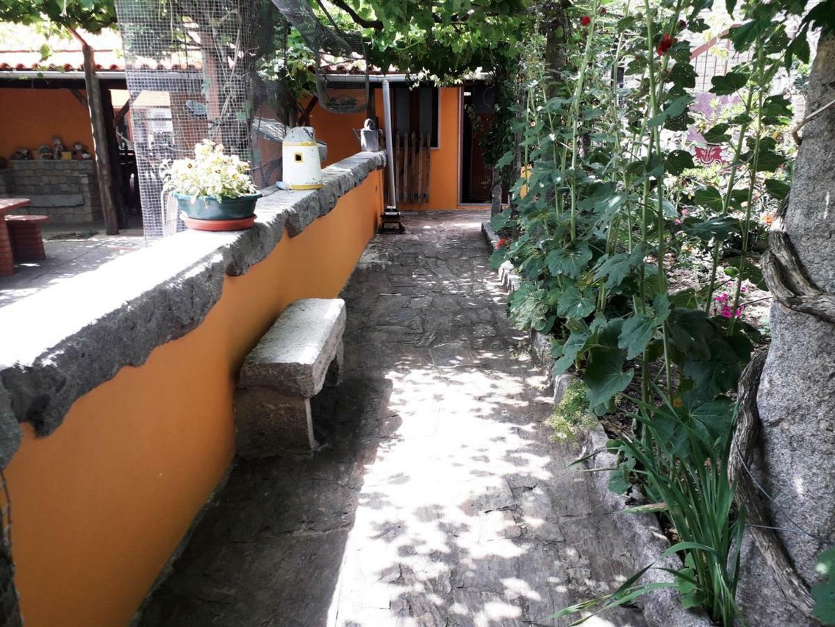 Villa Quinta Da Moagem Macedo de Cavaleiros Exterior foto
